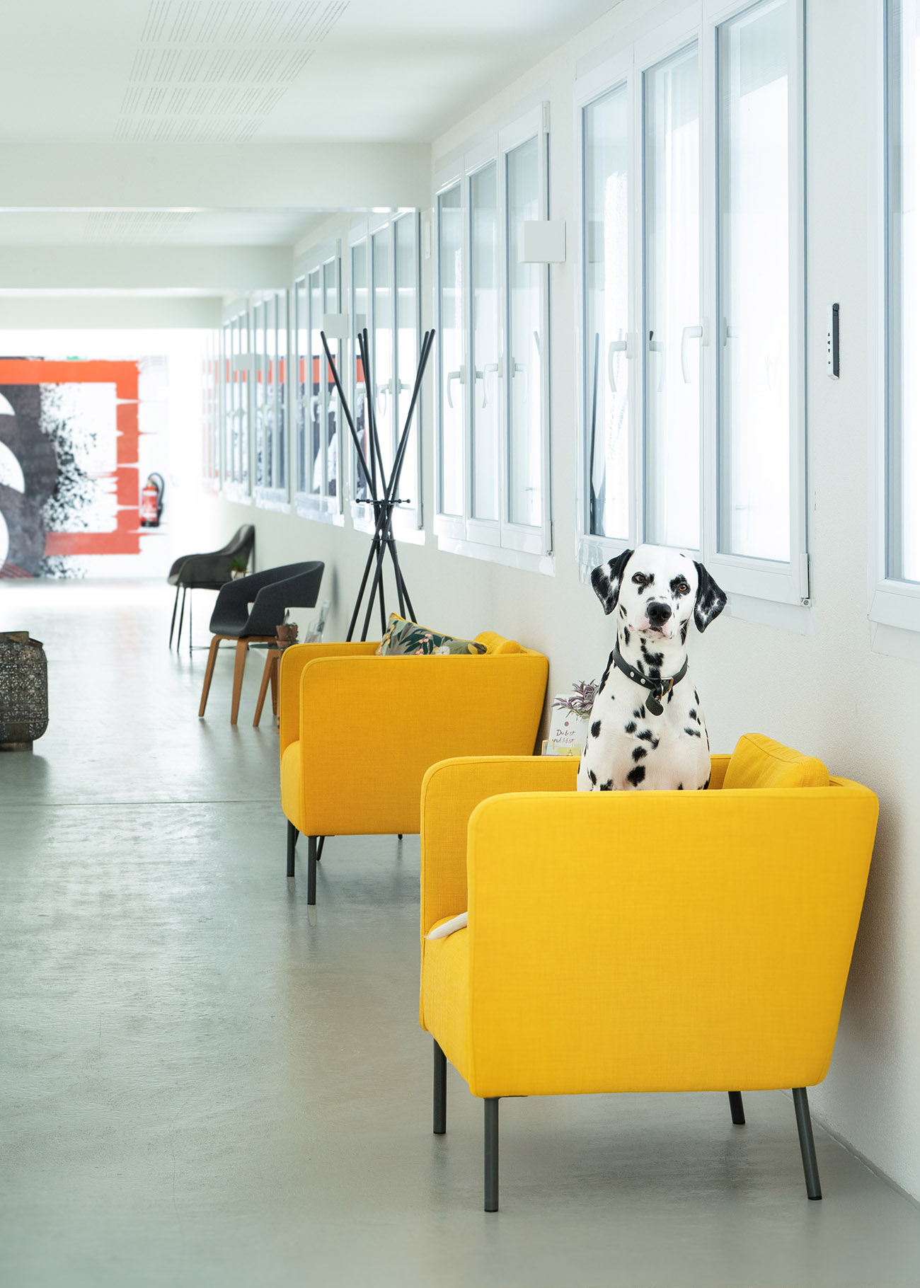 Katharina Sandreuther